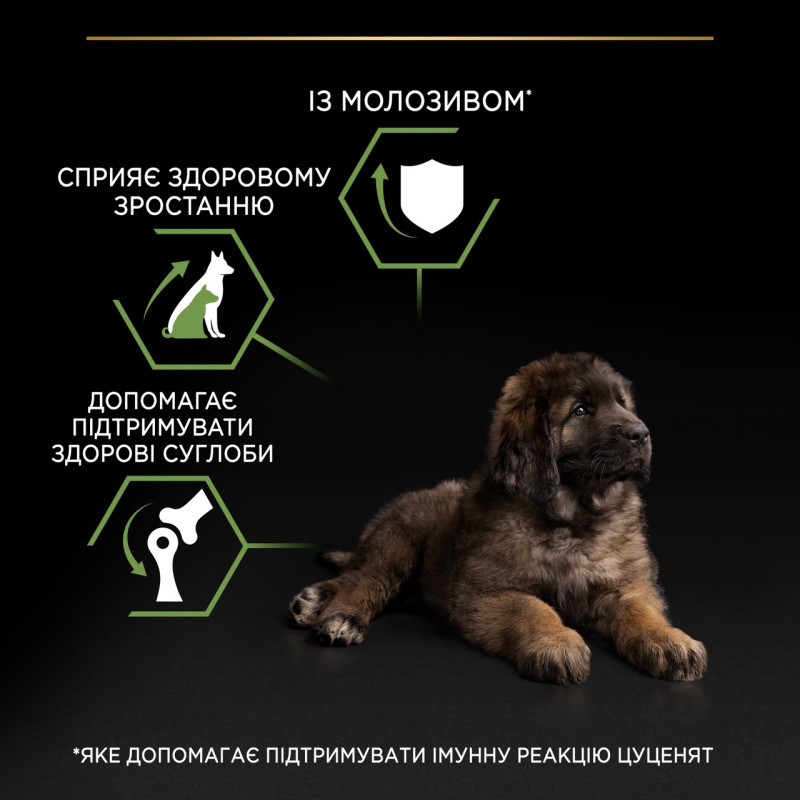 Purina Pro Plan Puppy Large Robust Healthy Start сухий корм для цуценят великих порід з куркою 12 кг - фото 5