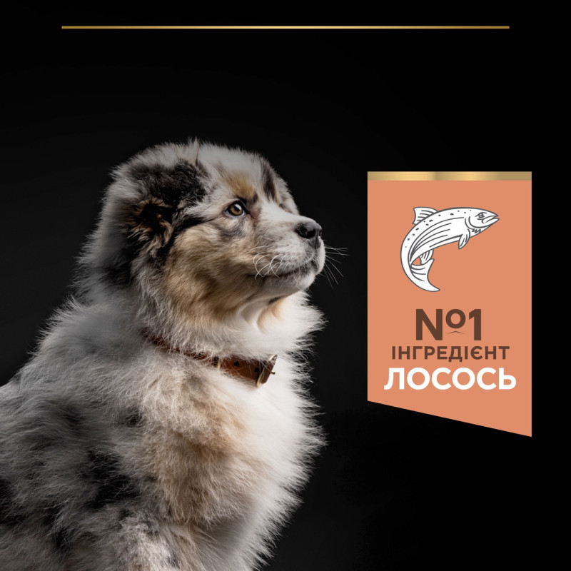 Purina Pro Plan Puppy Medium Sensitive Skin сухий корм для цуценят середніх порід з лососем 12 кг - фото 4