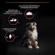 Purina Pro Plan Puppy Medium Sensitive Skin сухий корм для цуценят середніх порід з лососем 12 кг - фото 5
