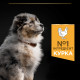 Purina Pro Plan Puppy Medium Healthy Start сухой корм для щенков средних пород с курицей 12 кг - фото 4