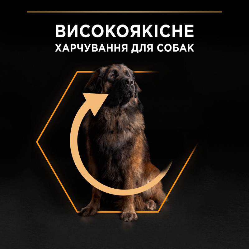 Purina Pro Plan Large Robust Everyday Nutrition сухий корм для собак великих порід з куркою 14 кг - фото 3