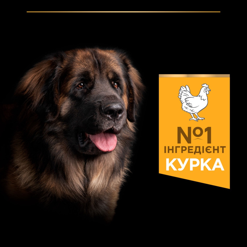 Purina Pro Plan Large Robust Everyday Nutrition сухий корм для собак великих порід з куркою 14 кг - фото 4