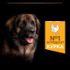 Purina Pro Plan Large Robust Everyday Nutrition сухий корм для собак великих порід з куркою 14 кг - фото 4