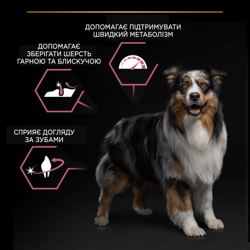 Purina Pro Plan Medium Sensitive Skin сухий корм для собак середніх порід з лососем 14 кг - фото 5