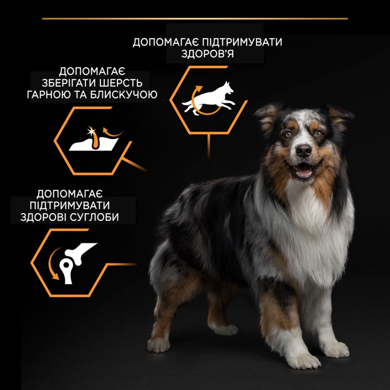 Purina Pro Plan Dog Adult Medium Everyday Nutrition сухой корм для собак средних пород с курицей 14 кг - фото 5