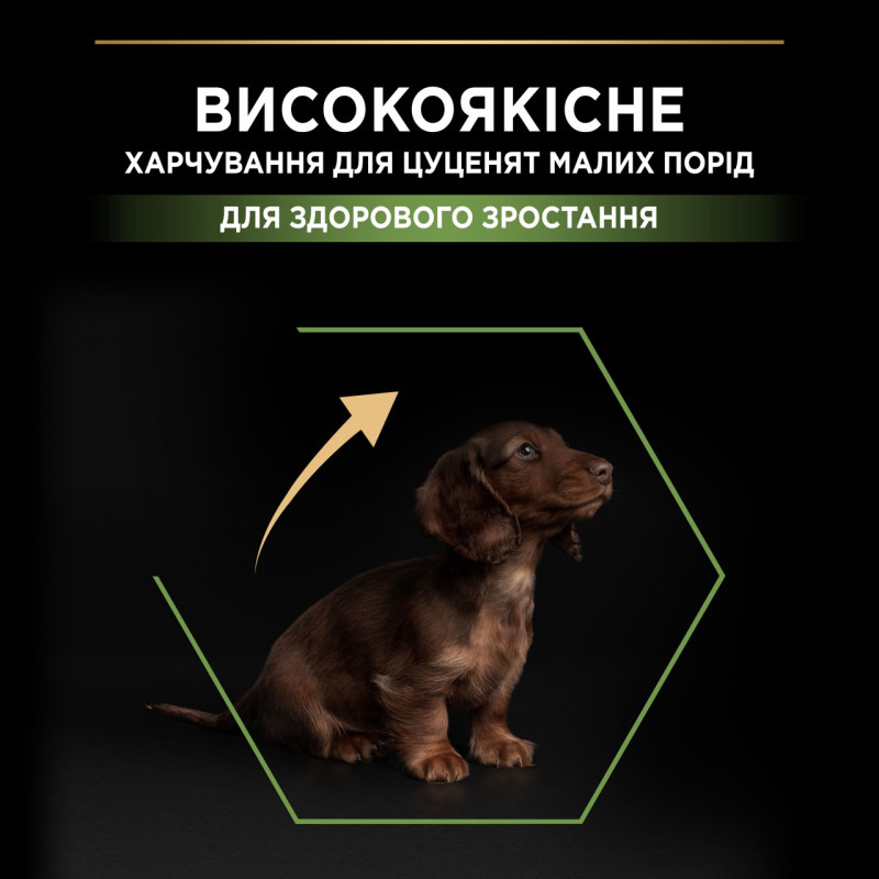 Purina Pro Plan Puppy Small & Mini Healthy Start сухой корм для щенков малых пород с курицей 7 кг - фото 3