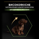 Purina Pro Plan Puppy Small & Mini Healthy Start сухой корм для щенков малых пород с курицей 7 кг - фото 3