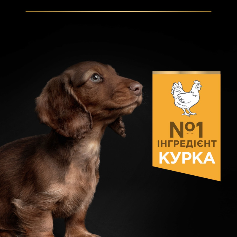 Purina Pro Plan Puppy Small & Mini Healthy Start сухой корм для щенков малых пород с курицей 7 кг - фото 4