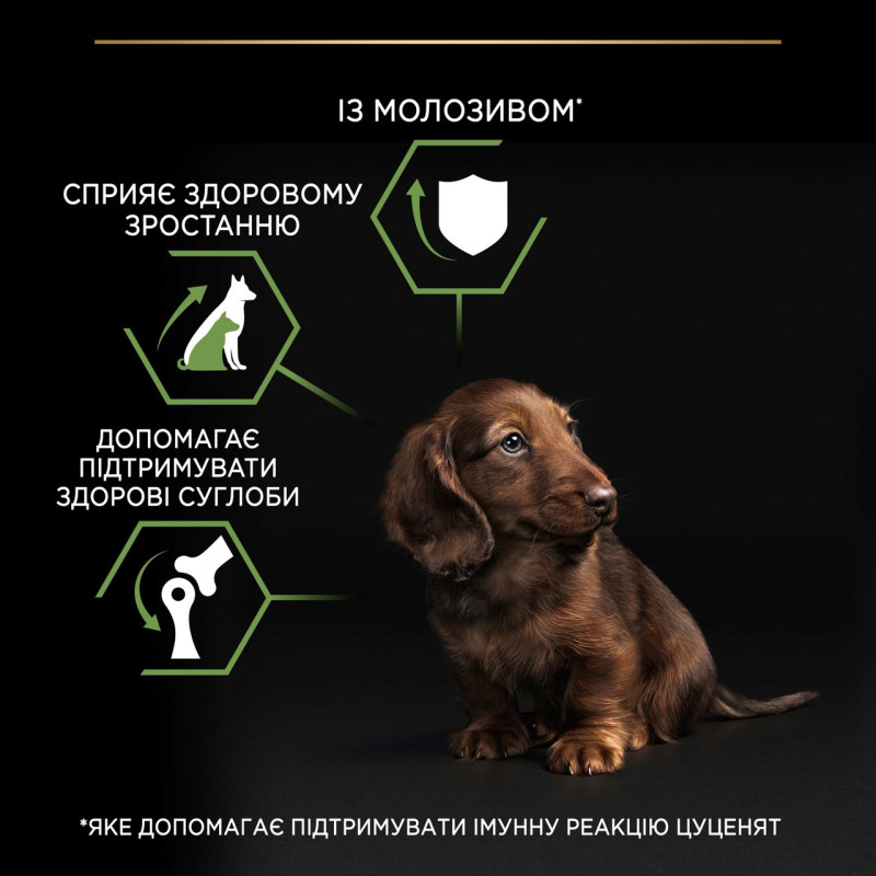Purina Pro Plan Puppy Small & Mini Healthy Start сухой корм для щенков малых пород с курицей 7 кг - фото 5