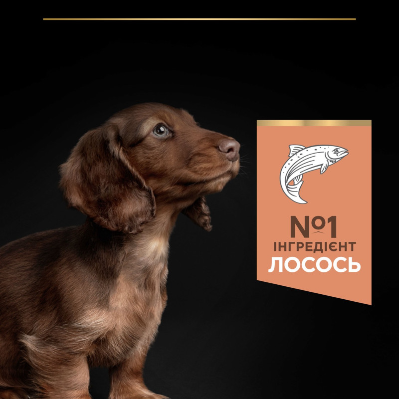 Purina Pro Plan Puppy Small & Mini Sensitive Skin сухий корм для цуценят малих порід з лососем 3 кг - фото 4