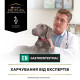 Purina Veterinary Diets EN сухой корм для собак с заболеваниями желудочно-кишечного тракта 12 кг - фото 3