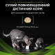 Purina Veterinary Diets HA Hypoallergenic сухий корм для котів із харчовою алергією 1.3 кг - фото 4