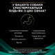 Purina Veterinary Diets EN сухий корм для собак із захворюваннями шлунково-кишкового тракту 1.5 кг - фото 4