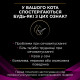 Purina Veterinary Diets UR Urinary сухий корм для котів із сечокам'яною хворобою 1.5 кг - фото 4