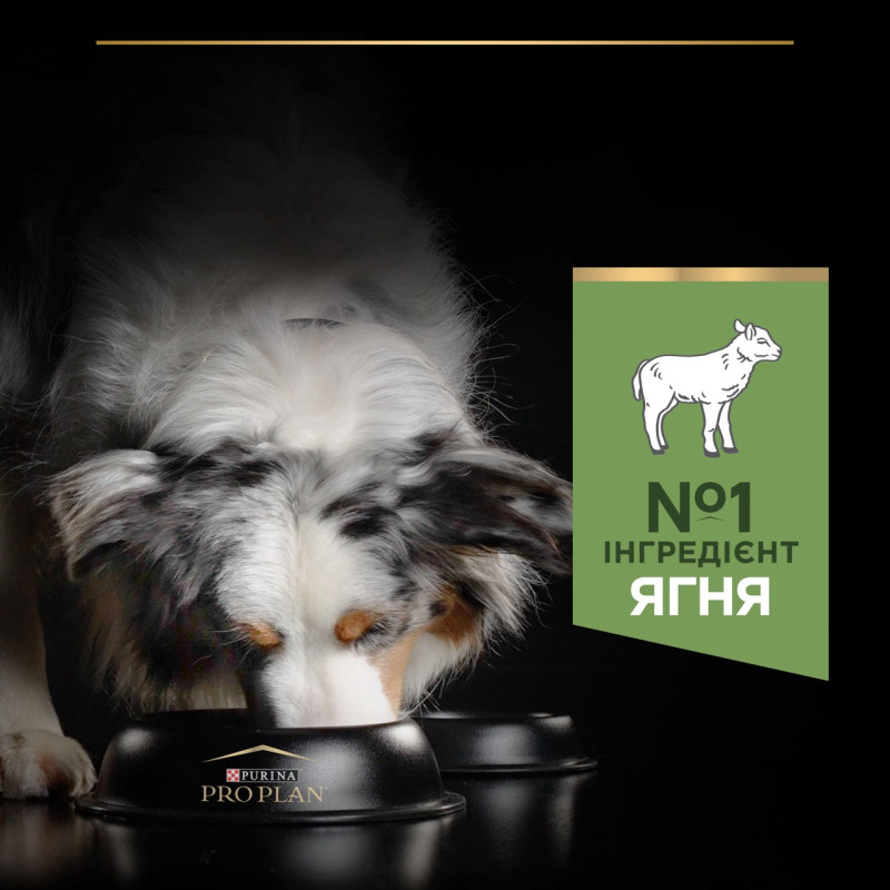Purina Pro Plan Medium Sensitive Digestion сухой корм для собак средних пород с ягненком 14 кг - фото 4