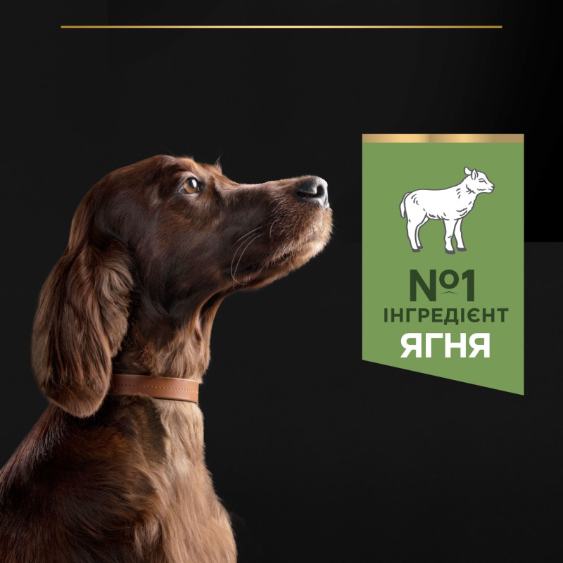 Purina Pro Plan Large Athletic Sensitive Digestion сухий корм для великих собак з ягням 14 кг - фото 4