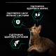 Purina Pro Plan Renal Plus сухий корм для котів для профілактики захворювань нирок з куркою 1.5 кг - фото 4