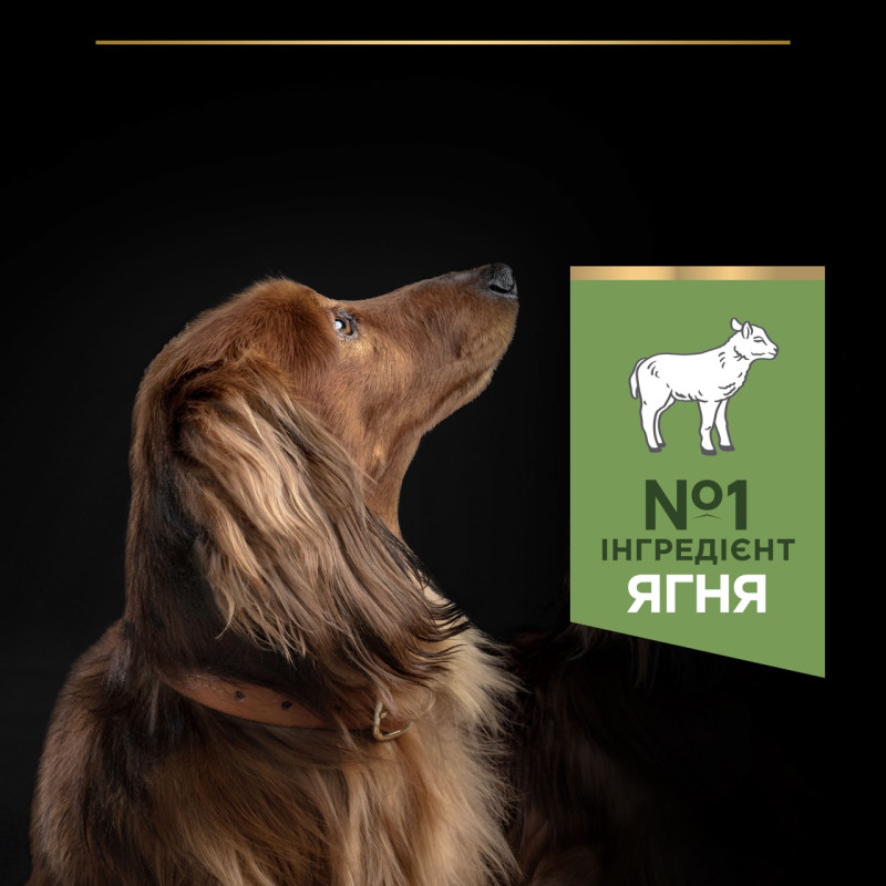 Purina Pro Plan Small & Mini Sensitive Digestion Lamb сухой корм для собак малых пород с ягнятиной 700 гр - фото 4