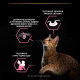 Purina Pro Plan Delicate Nutrisavour вологий корм для котів з індичкою 85 гр - фото 4