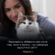 Purina Pro Plan LiveClear Kitten сухий корм для кошенят з індичкою 1.4 кг - фото 3