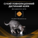 Purina Veterinary Diets NF Renal Early Care сухой корм для кошек с начальными симптомами заболеваний почек 350 гр - фото 6