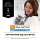 Purina Veterinary Diets NF Renal сухой корм для кошек с заболеваниями почек 1.5 кг - фото 3