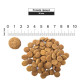 Schesir Dog Large Adult Lamb сухой корм с ягненком для собак крупных пород, 12 кг - фото 4