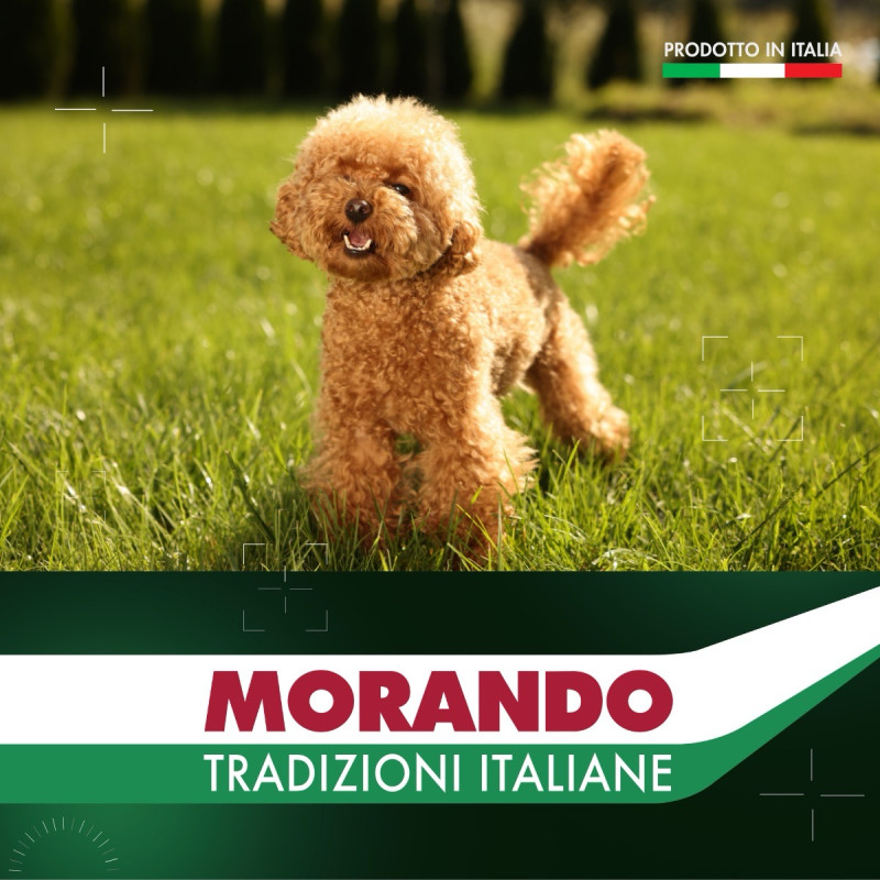 Morando Tradizioni Mini сухой корм с курицей для собак малых пород, 1.5 кг - фото 6