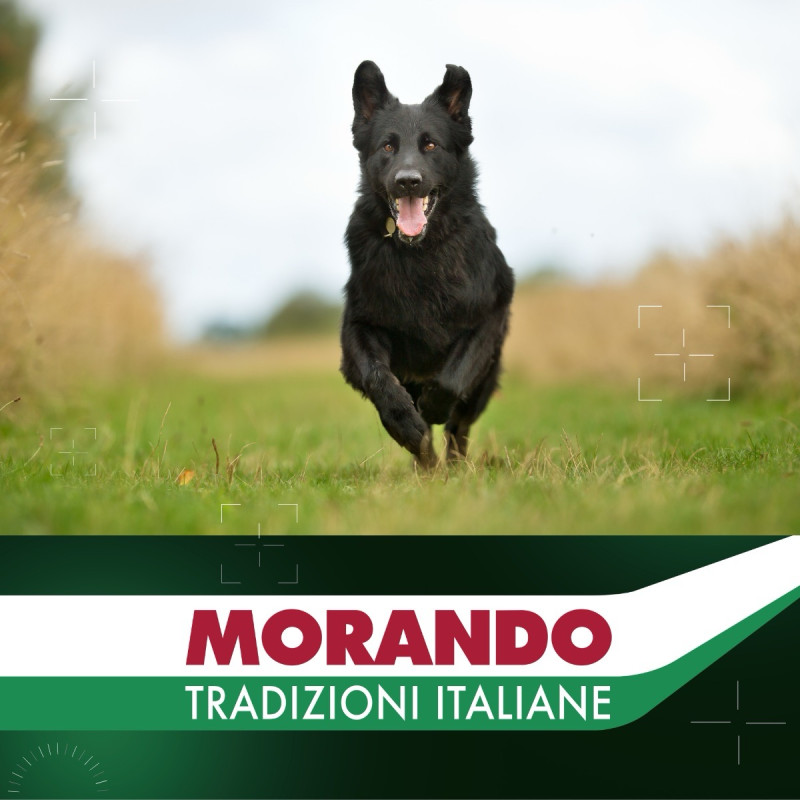 Morando Tradizioni Maxi сухий корм із яловичиною для собак великих порід, 12 кг - фото 5