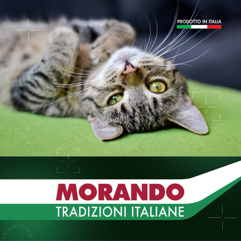 Morando Tradizioni влажный корм для котов со свининой, 100 гр - фото 6