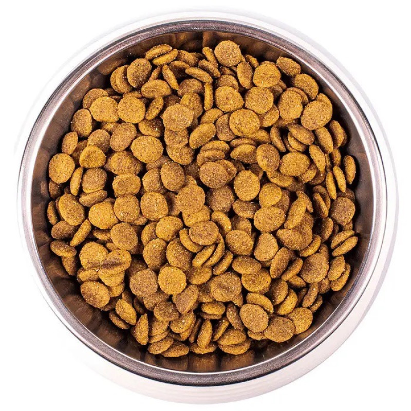 Monge Cat Adult Ricco сухой корм с курицей для котов, 10 кг - фото 2