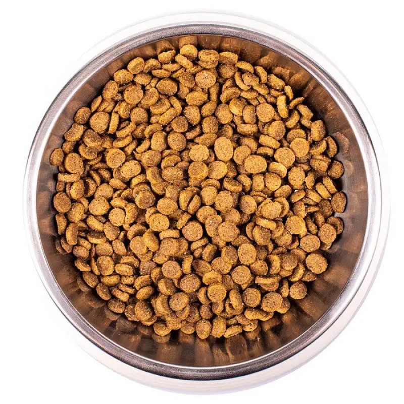 Monge Kitten Ricco сухой корм с курицей для котят, 400 гр - фото 2