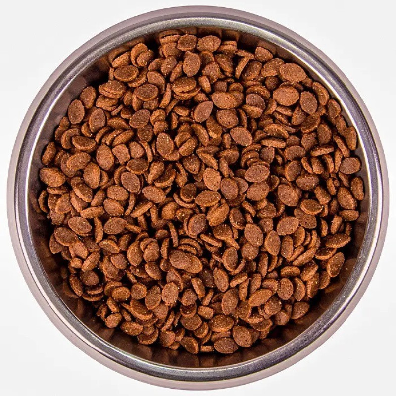 Monge BWild LG Cat Lepre сухой корм с зайчатиной для котов, 10 кг - фото 2