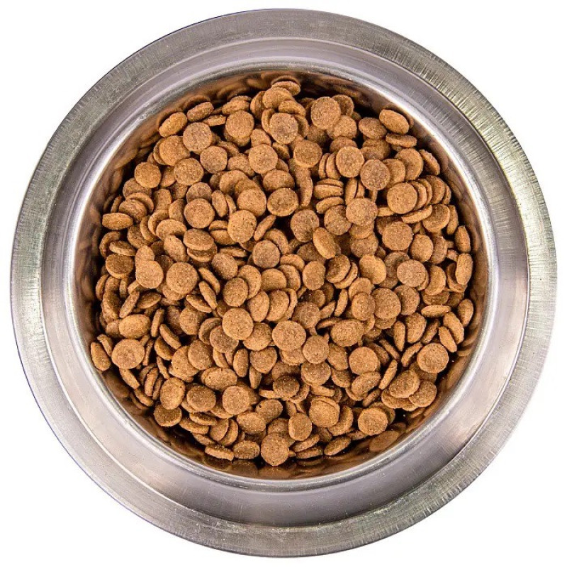 Monge BWild GF Cat Salmone сухий корм із лососем для котів, 10 кг - фото 4