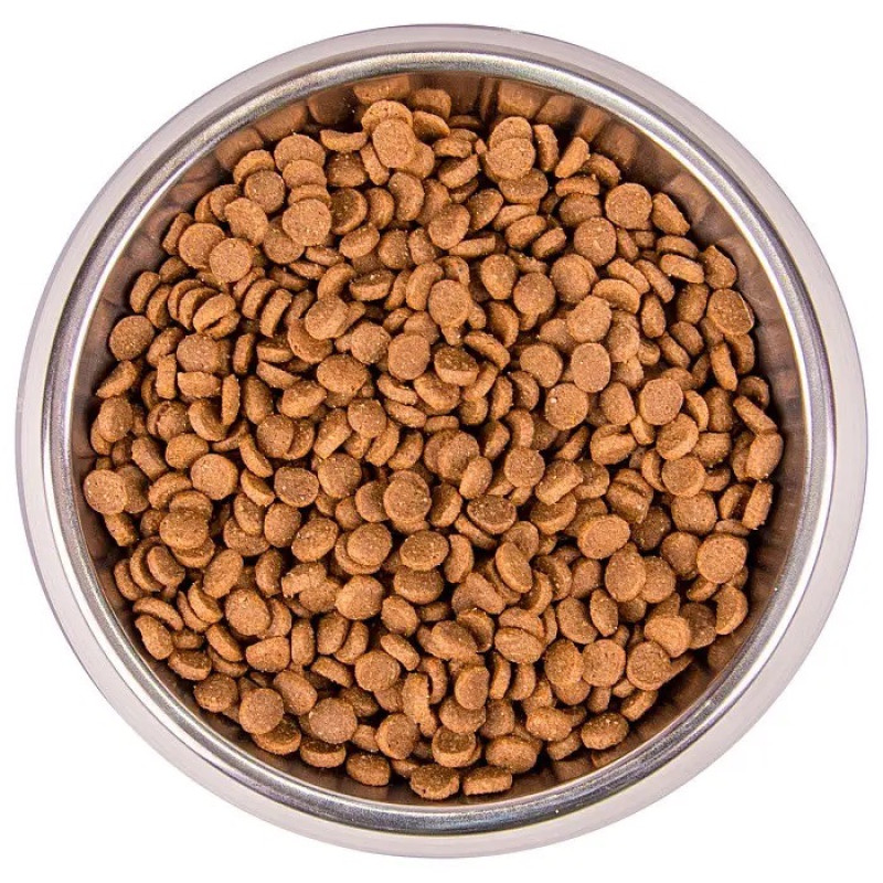 Monge Kitten Manzo сухой корм с говядиной для котят, 1.5 кг - фото 2