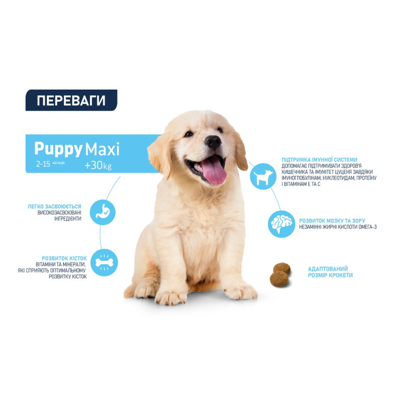 Advance Maxi Puppy сухой корм с курицей для щенят крупных пород, 3 кг - фото 3