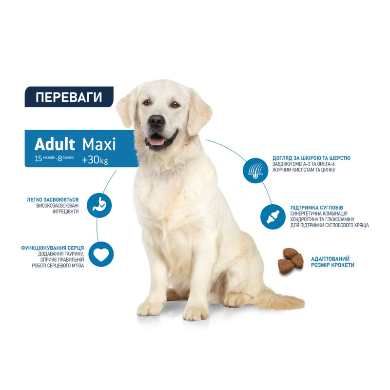 Advance Maxi Adult сухой корм с курицей для собак крупных пород, 14 кг - фото 3