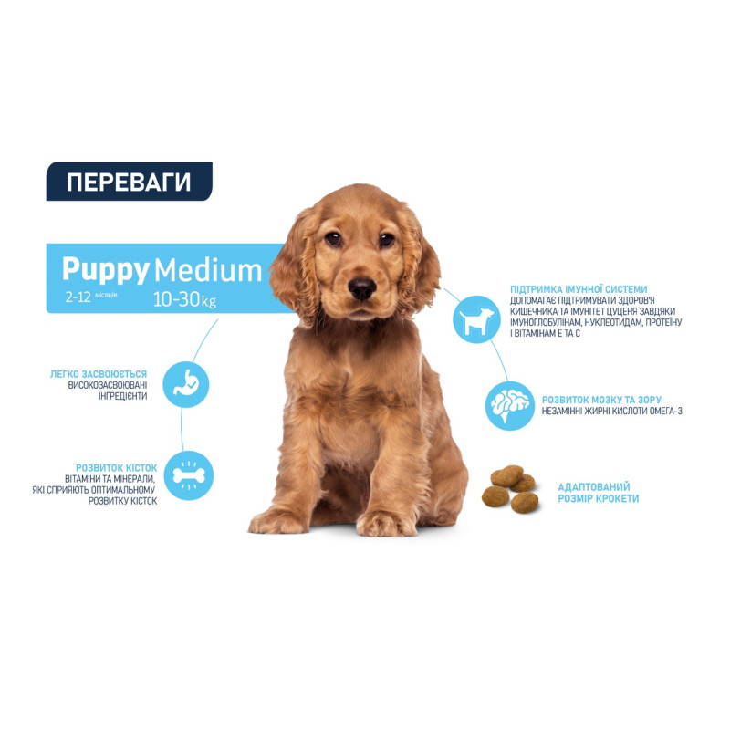 Advance Medium Puppy сухой корм с курицей для щенят средних пород, 12 кг - фото 4