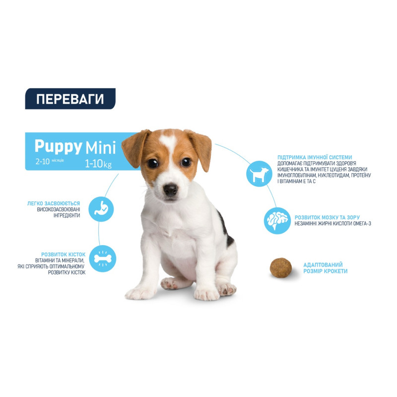 Advance Mini Puppy сухой корм с курицей для щенят малых пород, 700 гр - фото 4