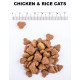 Amity Premium Adult Cat Chiken and Rice сухой корм с курицей для котов 1.5 кг - фото 3