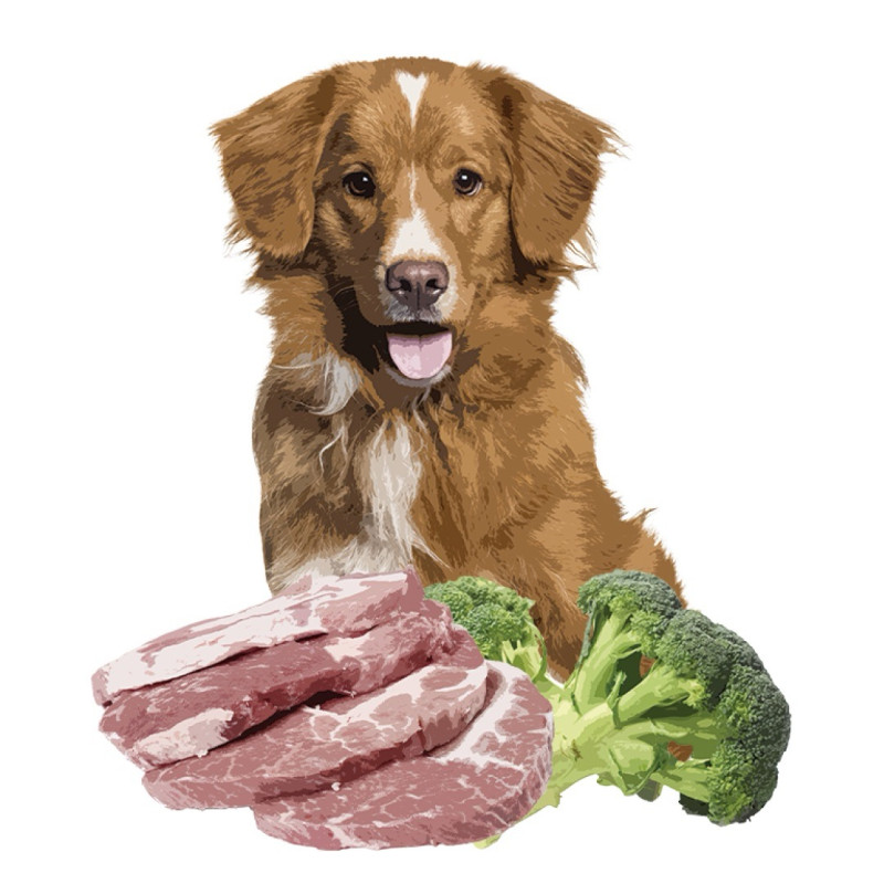 Orygo Pork полувлажный корм для собак со свининой, 8 кг - фото 2