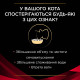 Purina Veterinary Diets DM Diabetes влажный корм для кошек с диабетом 195 гр - фото 4