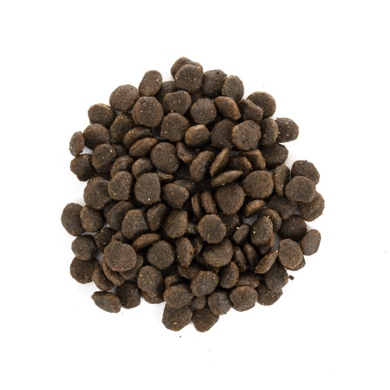 Brit Care Mini GF Yorkshire сухой корм c лососем и тунцом для собак породы йоркширский терьер, 2 кг - фото 3