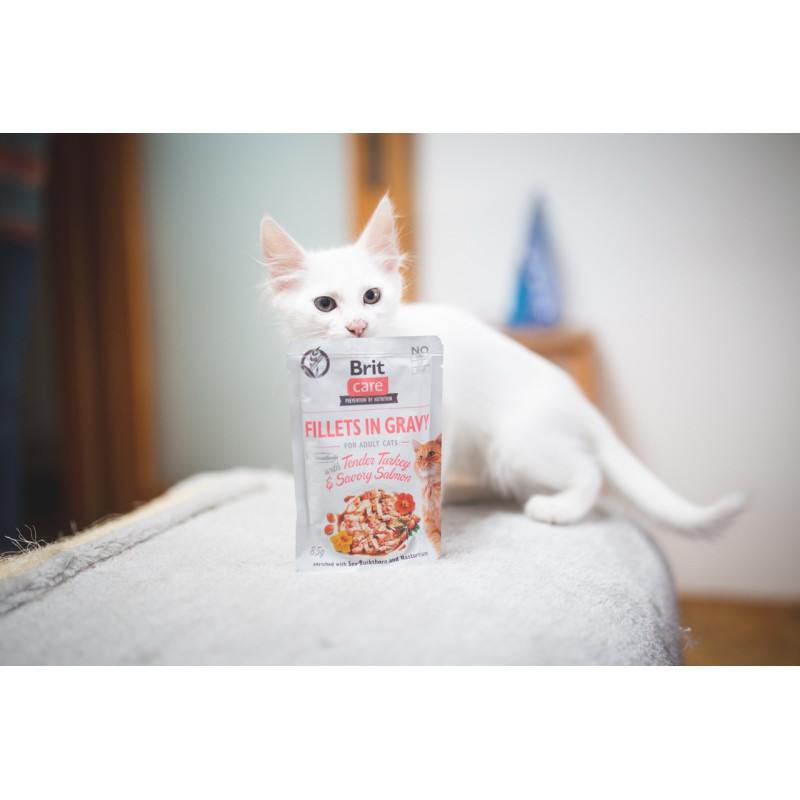 Brit Care Cat Fillets In Gravy Turkey and Salmon влажный корм с индейкой и лососем для котов, 85 гр - фото 3