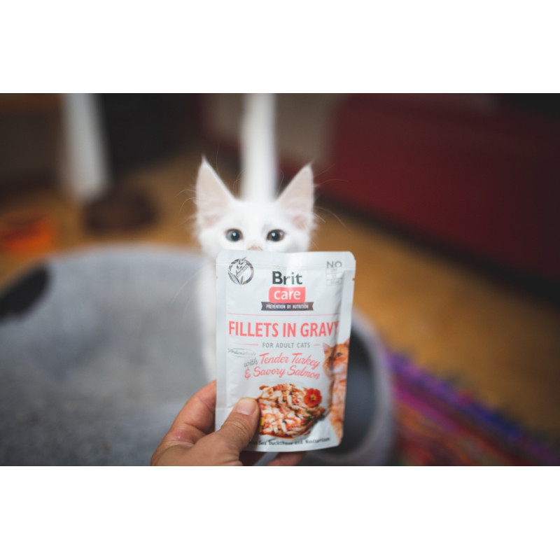 Brit Care Cat Fillets In Gravy Turkey and Salmon влажный корм с индейкой и лососем для котов, 85 гр - фото 4