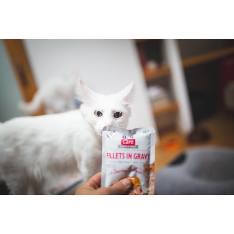 Brit Care Cat Fillets In Gravy Salmon вологий корм з лососем для котів, 85 гр - фото 3