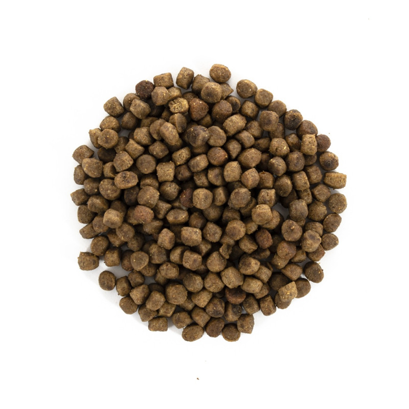 Brit Care GF Kitten Healthy Growth & Development сухой корм для котят с курицей и индейкой, 400 гр - фото 2