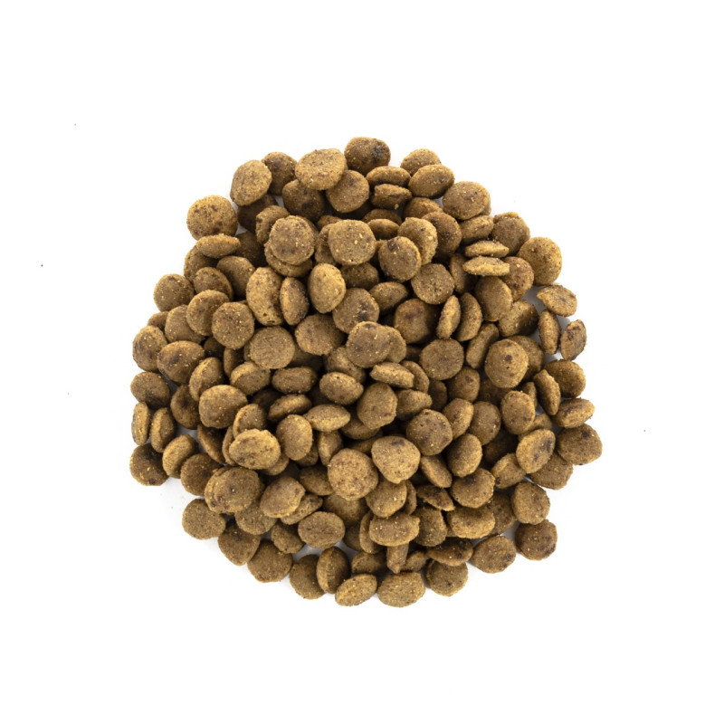 Brit Care Cat Adult GF Large Cats Power & Vitality сухой корм с уткой и курицей для котов больших пород, 400 гр - фото 2