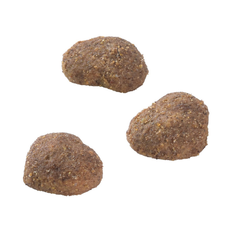 Brit Care Cat Snack Superfruits Lamb лакомство для кошек с ягненком, 100 гр - фото 4