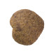 Brit Care Cat Snack Superfruits Insect Hypoallergenic гіпоалергенні ласощі для котів, 100 гр - фото 5